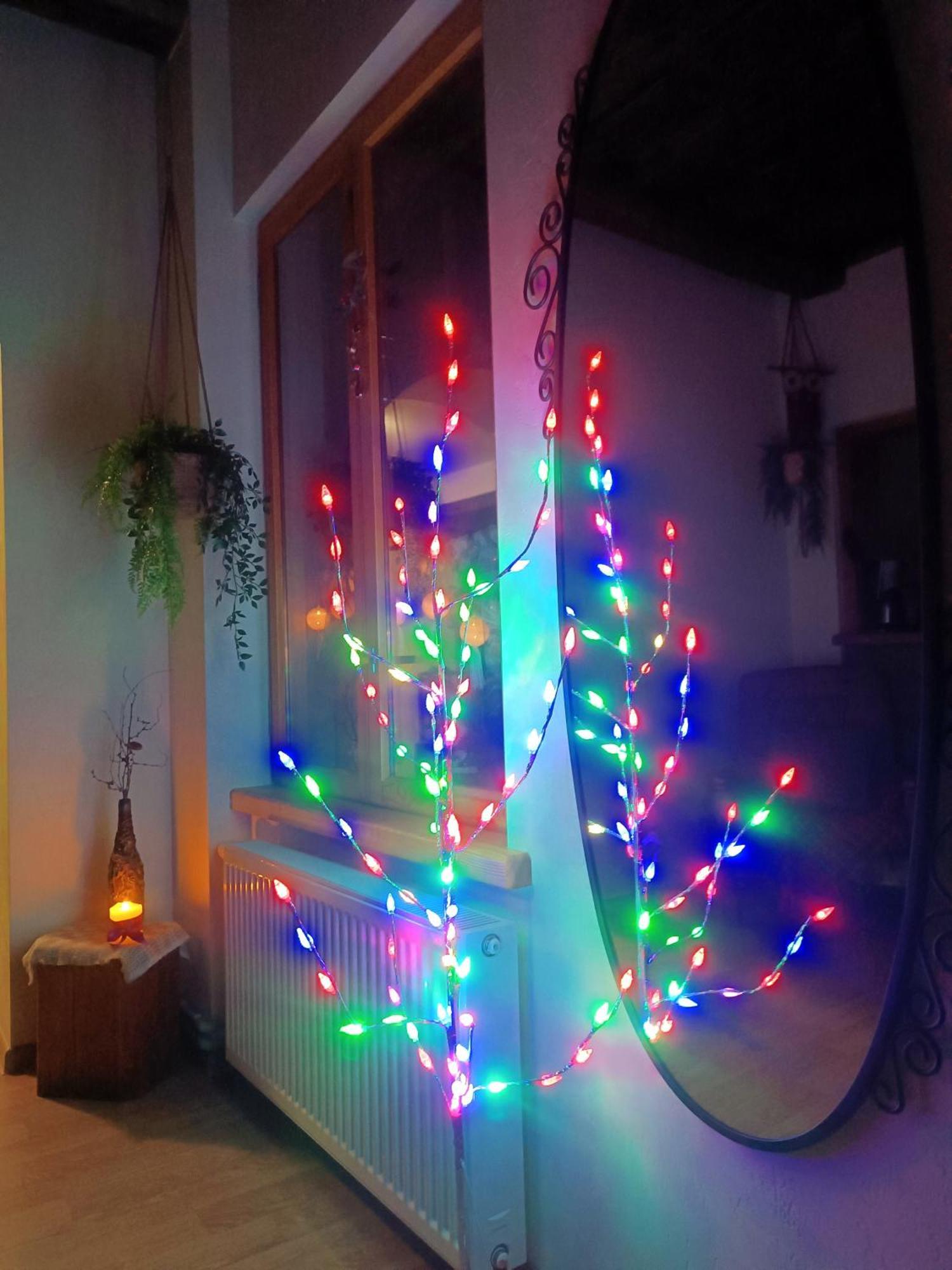 Starka * Kuldiga